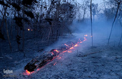 اتش‌سوزی سهمگین در آمازون