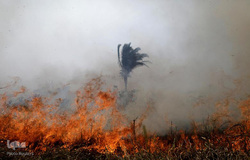 اتش‌سوزی سهمگین در آمازون