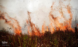 اتش‌سوزی سهمگین در آمازون