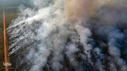 اتش‌سوزی سهمگین در آمازون