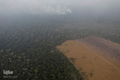 اتش‌سوزی سهمگین در آمازون