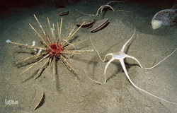 ده نقطه شگفت‌انگیز زمین