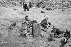 روستای تپه کنیز