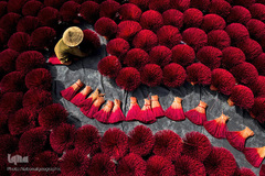 ویتنام، از نگاهی دیگر