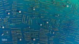 ویتنام، از نگاهی دیگر