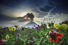 تصاویر حیرت انگیز از فوران آتشفشان‌ها