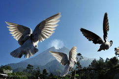 تصاویر حیرت انگیز از فوران آتشفشان‌ها