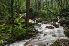 رودخانه قلعه رودخان