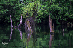 دریاچه ارواح در مازندران