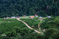 ییلاق ماسال در رشت