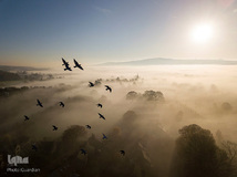 برندگان جوایز عکاسی حیات وحش انگلیس 2019