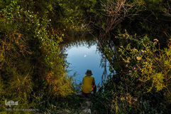 گزیده تصاویر تابستان نشنال جئوگرافیک