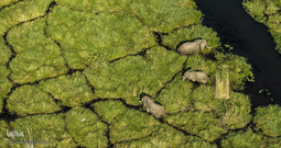 گزیده تصاویر تابستان نشنال جئوگرافیک