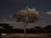 گزیده تصاویر تابستان نشنال جئوگرافیک