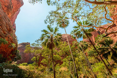 پارک ملی پورنولولو در منطقه کیمبرلی در غرب استرالیا