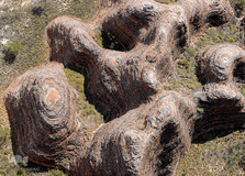 پارک ملی پورنولولو در منطقه کیمبرلی در غرب استرالیا