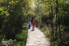 باغ پرندگان تهران