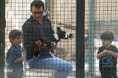 باغ پرندگان تهران