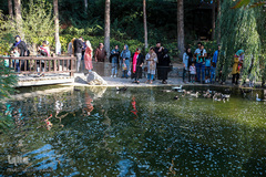 باغ پرندگان تهران