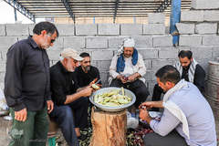 زائران و موکب‌داران در پایانه مرزی چذابه