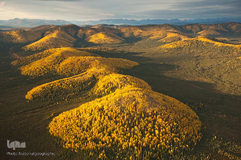 پارک ملی دنالی در آلاسکا