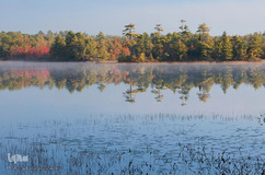 پارک ملی دنالی در آلاسکا