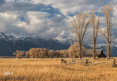 پارک ملی دنالی در آلاسکا