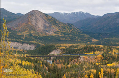 پارک ملی دنالی در آلاسکا