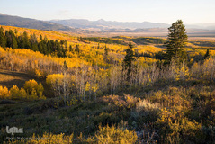 پارک ملی دنالی در آلاسکا