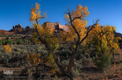 پارک ملی دنالی در آلاسکا