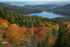 پارک ملی دنالی در آلاسکا