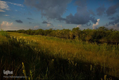 پارک ملی دنالی در آلاسکا