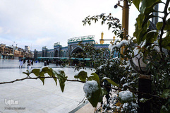 بارش برف در بین‌الحرمین