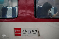 جنگ جهانی با COVID-19