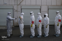 جنگ جهانی با COVID-19