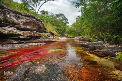 زیباترین رودخانه های جهان