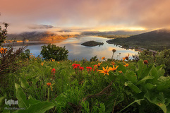 بهار در جهان