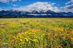 بهار در جهان