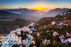 بهار در جهان