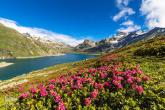 بهار در جهان