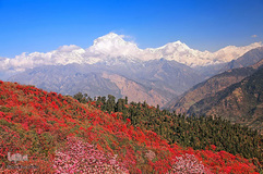 بهار در جهان