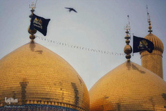 امام موسی کاظم(ع)؛ مظهر صبر بر آلام زمانه