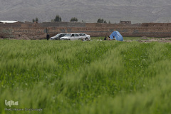 روز طبیعت با چاشنی کرونا