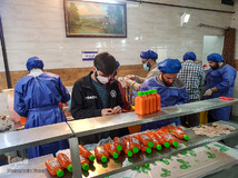 جشن روز طبیعت جهادگران در کنار بیماران کرونایی