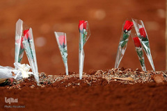 دفن قربانیان COVID-19