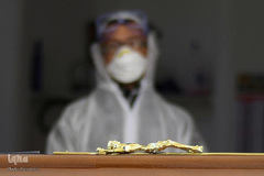 دفن قربانیان COVID-19