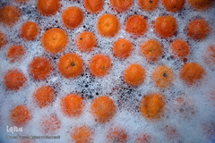 جهاد آبمیوه گیری موکب «المهدی» هیأت رزمندگان اسلام شمیرانات برای یاری کادر درمانی و شفای عاجل بیماران کرونایی