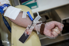 پویش «اهدای خون به عشق یک شهید»