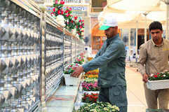 آذین بندی صحن مطهر علوی به مناسبت میلاد خجسته امام حسن مجتبی (ع)