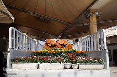 آذین بندی صحن مطهر علوی به مناسبت میلاد خجسته امام حسن مجتبی (ع)